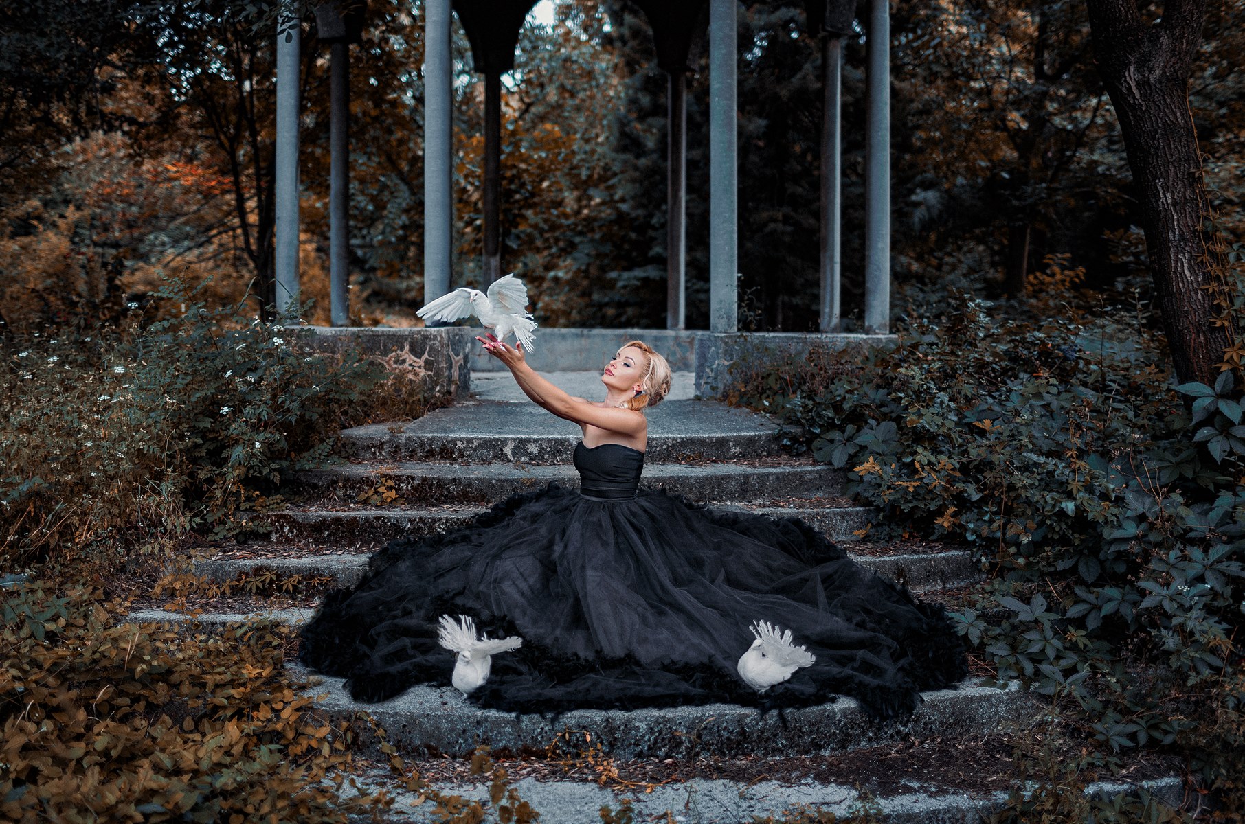 Muse 05